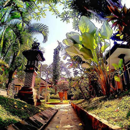Surf Doggie Inn Kuta Lombok Eksteriør bilde